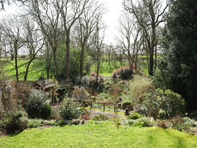 Picture 25